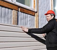 Best Siding Painting and Refinishing  in Three Points, AZ